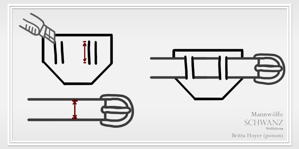 schwanz-01_01-01_05-guertel_01.jpg